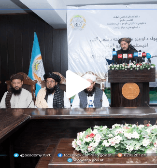 ویدیوګانه